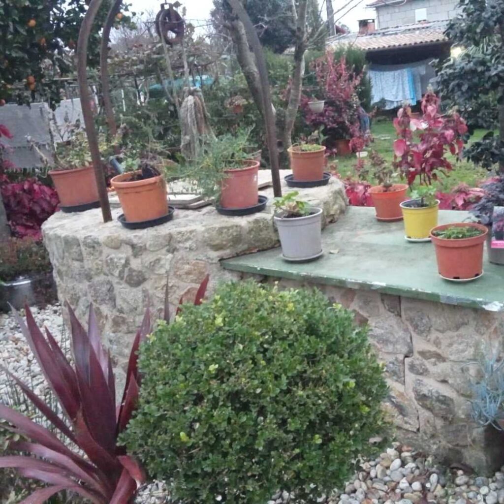Jardín en Galicia consejos